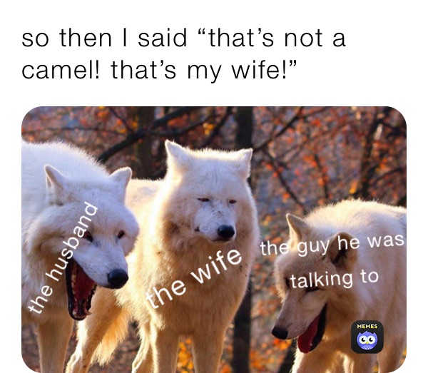 so then I said “that’s not a camel! that’s my wife!”