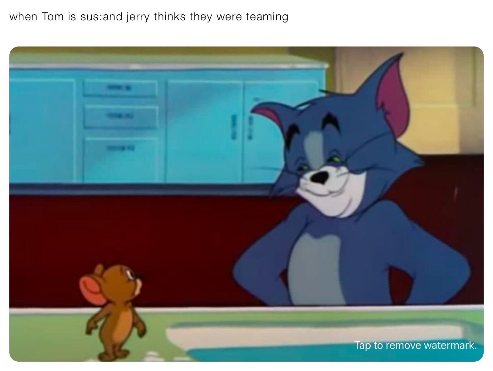 Was tom at work. Джерри мая. Tom and Jerry the Cat above and the Mouse below. Tom and Jerry the framed Cat. Dutch memes.