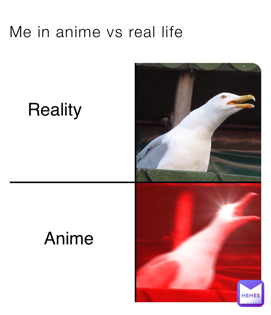Me in anime vs real life Reality Anime