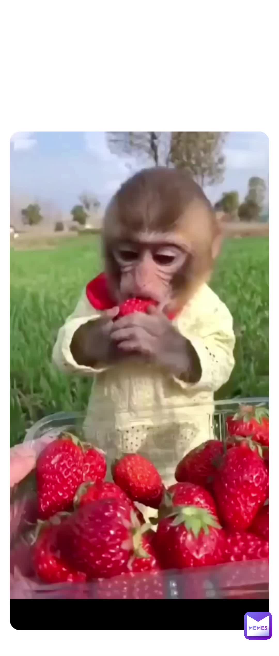 #cute  #blessed