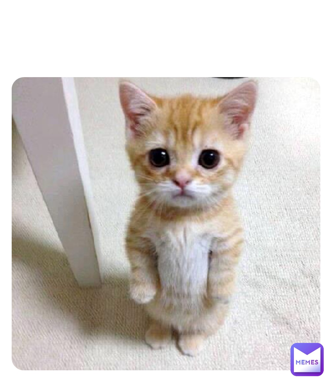 Meme by fatty_pig111