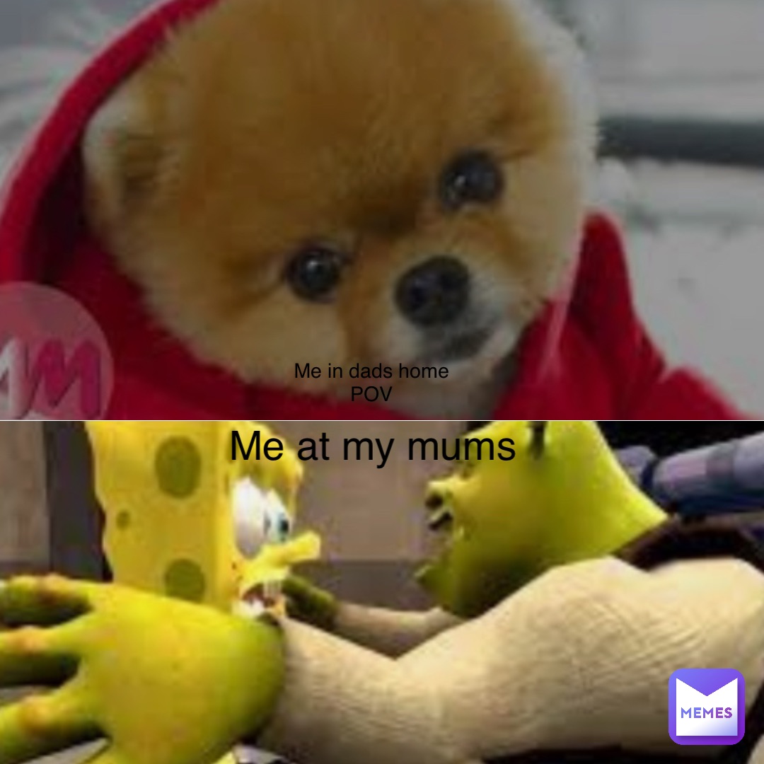 Meme by fatty_pig111