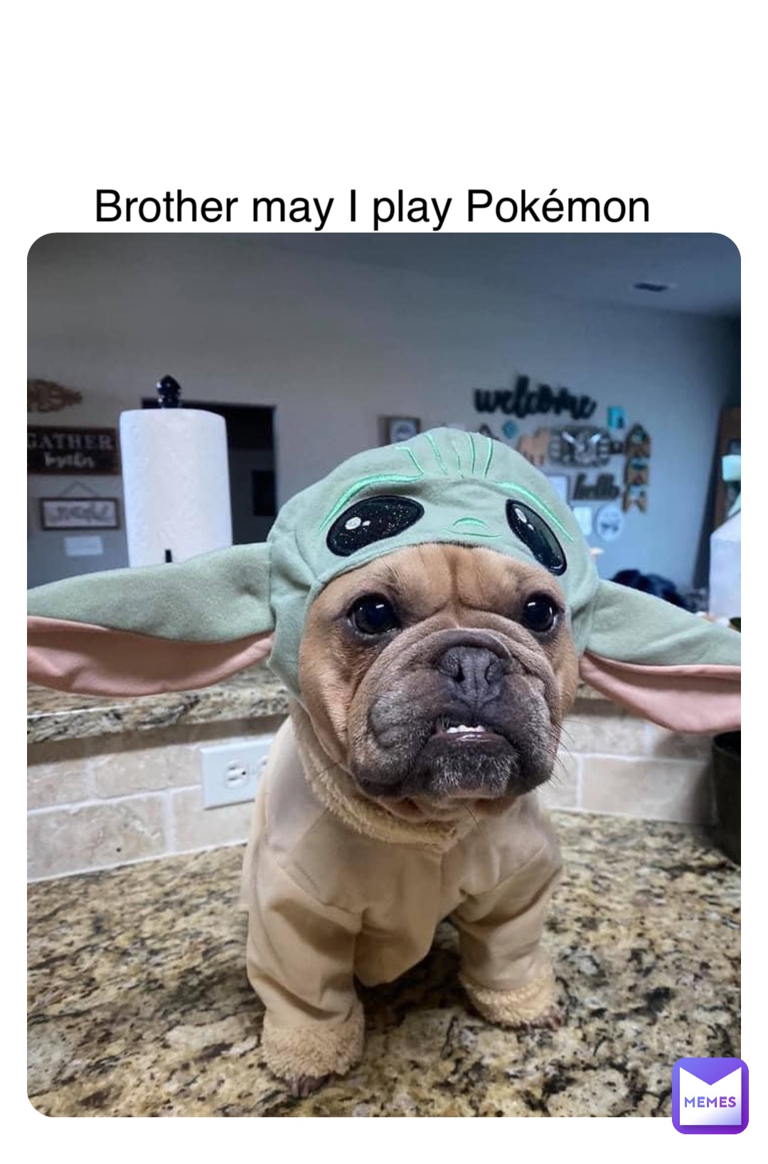 Meme by fatty_pig111