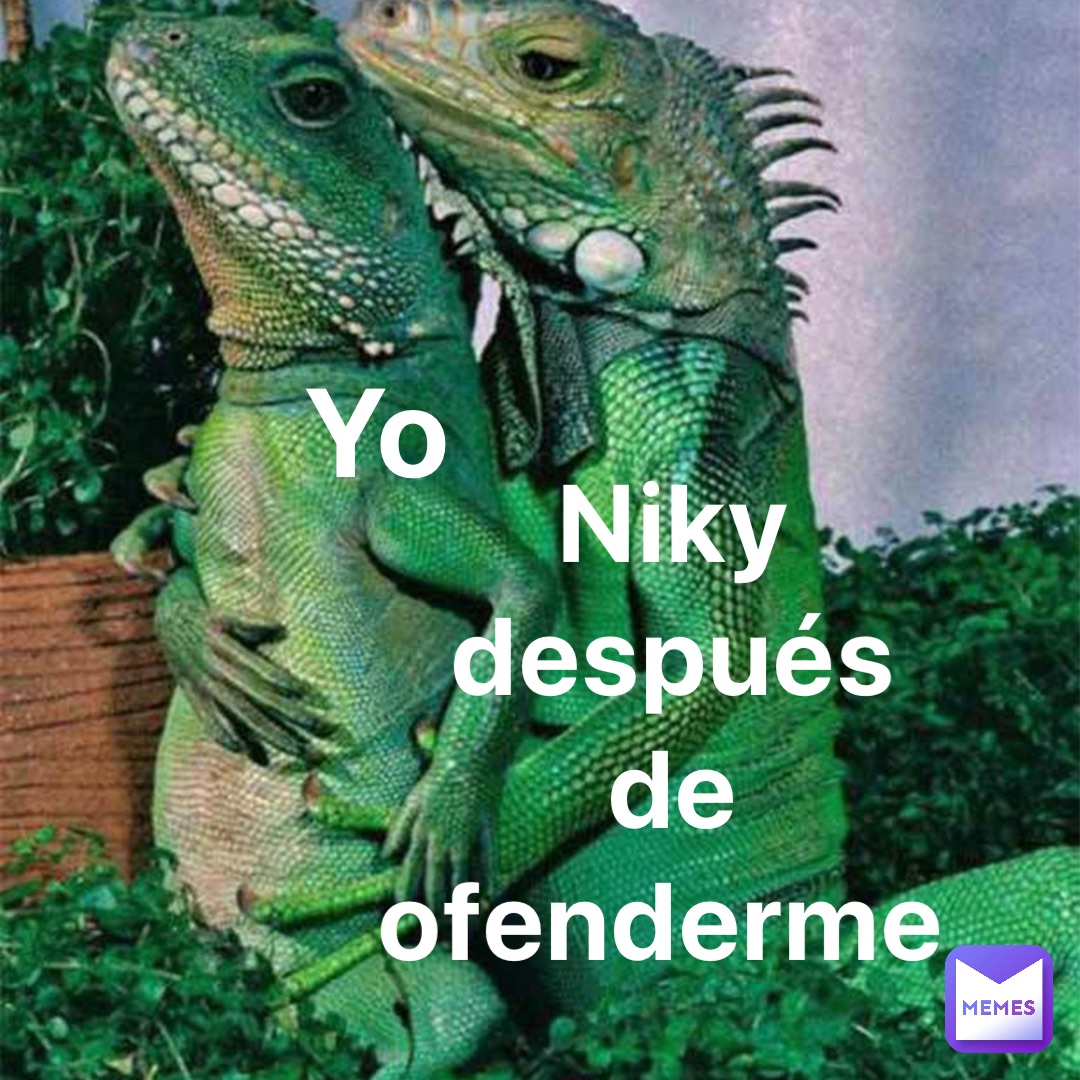 Yo Niky después de ofenderme