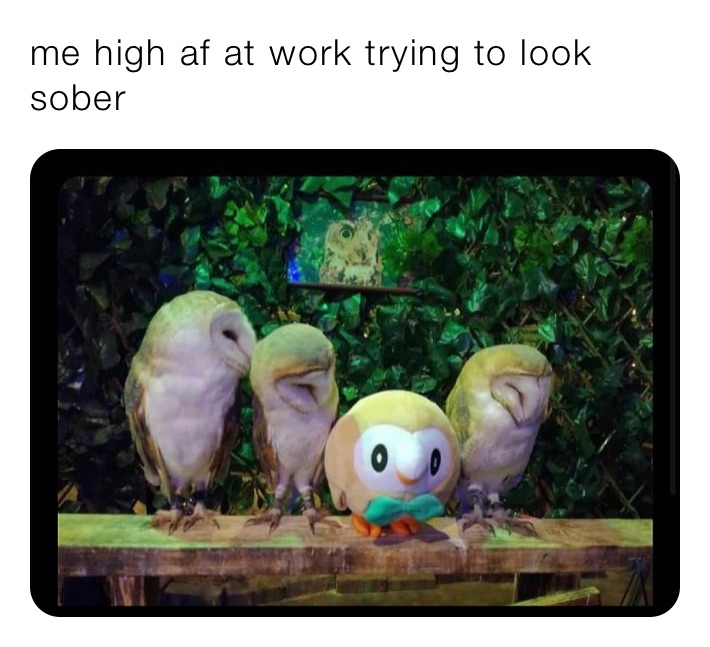 me high af at work trying to look sober