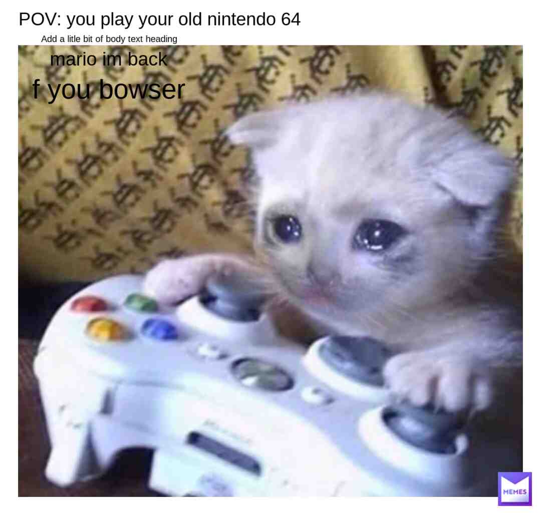 #sad cat #sad #cat #cats #sadmemes #catmemes #catmeme