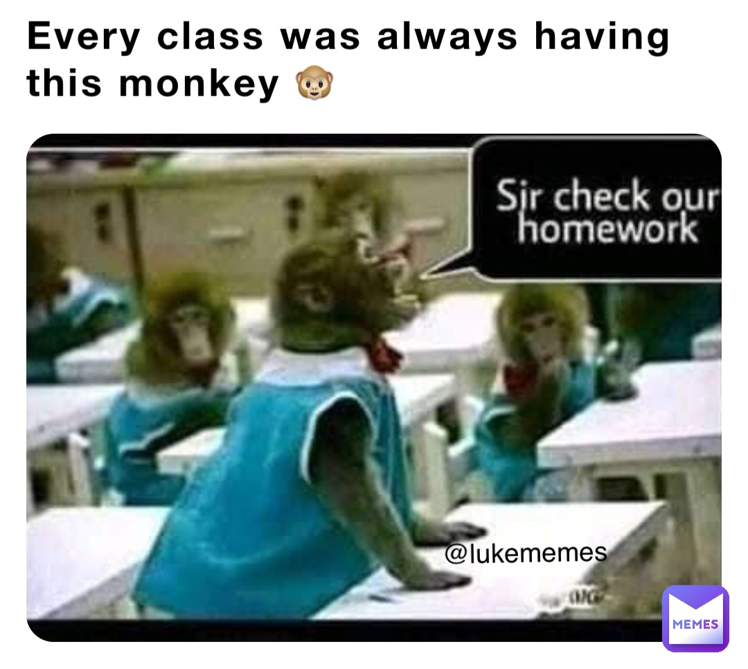 Every class was always having this monkey 🐵