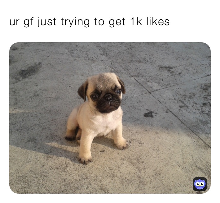 ur gf just trying to get 1k likes