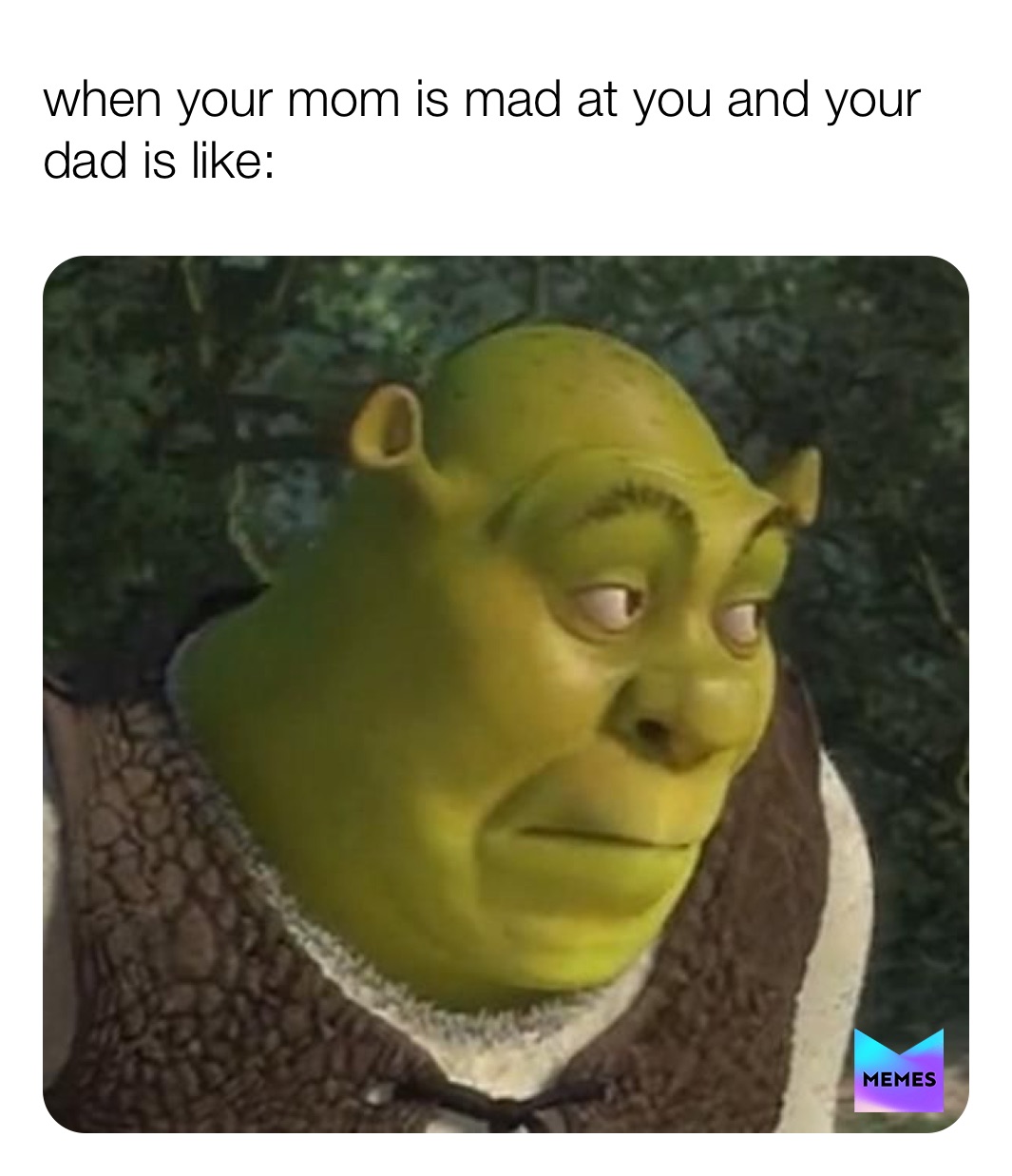 Meme by memes__belgium