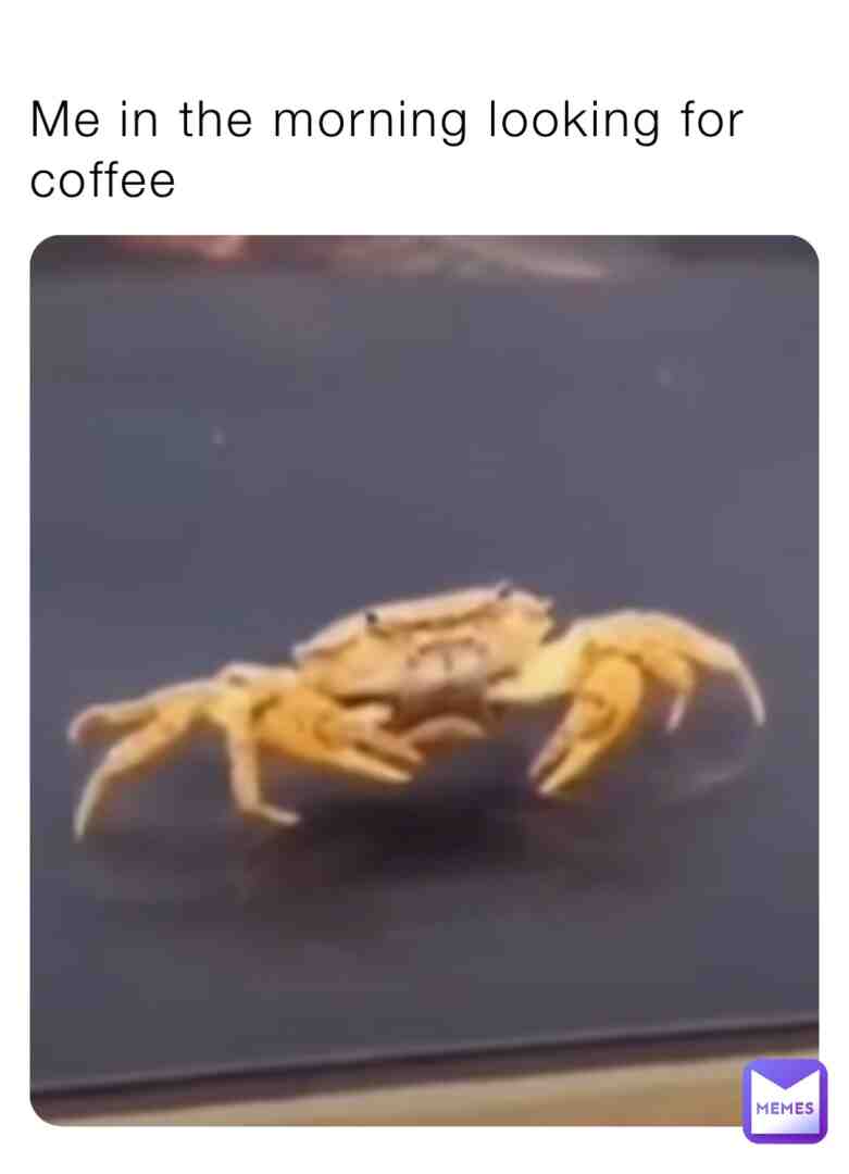 Meme preview