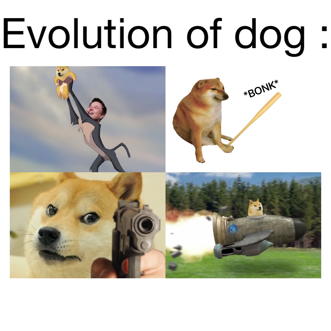 Evolution of dog :