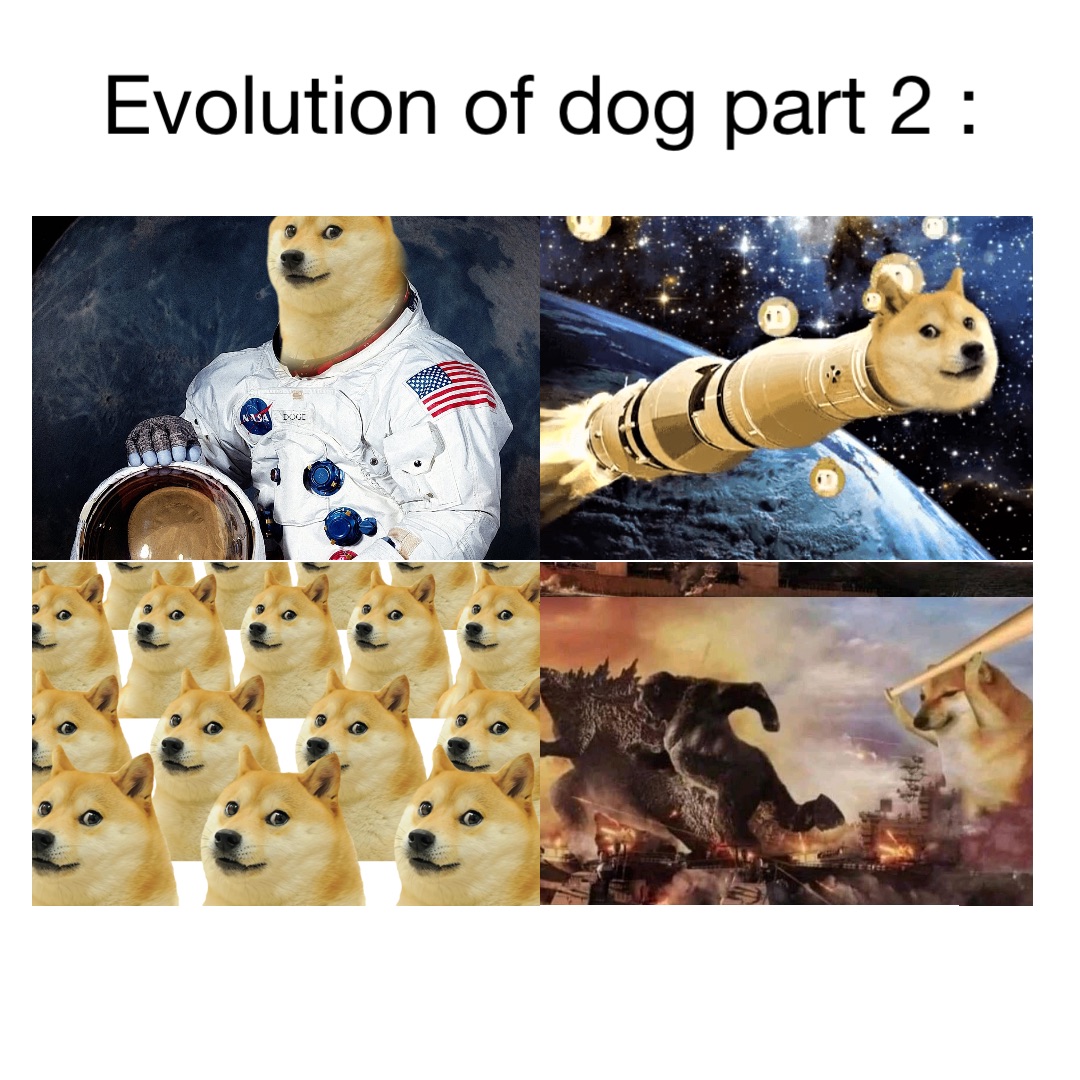 Evolution of dog part 2 :