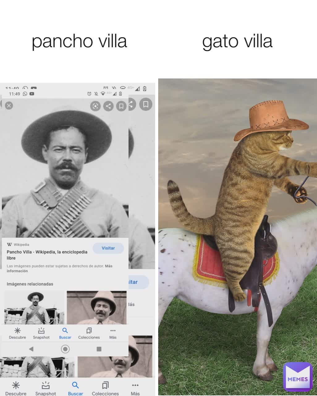 pancho villa gato villa