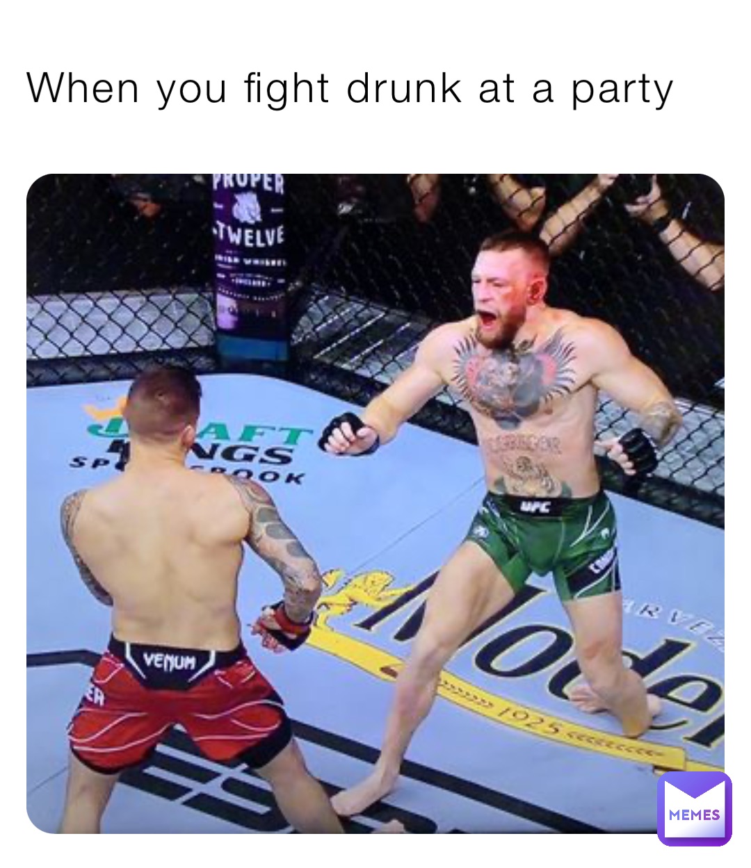 When you fight drunk at a party