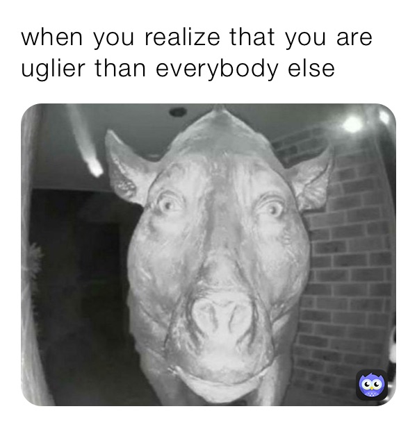 when you realize that you are uglier than everybody else