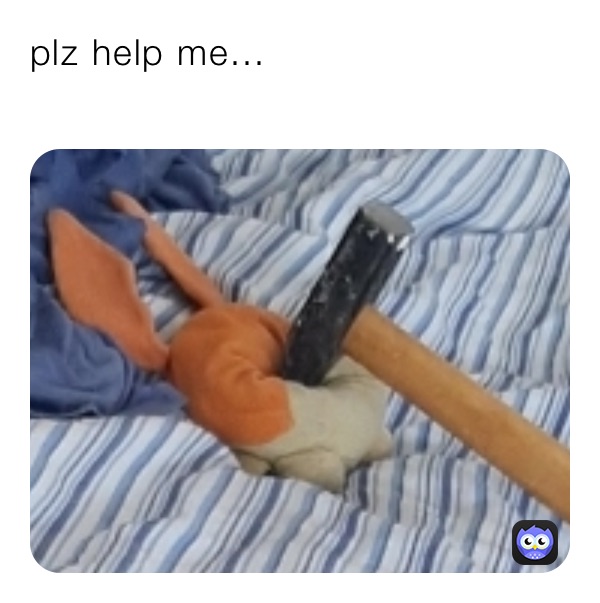 plz help me...
