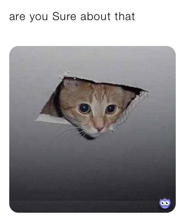 are you Sure about that 
