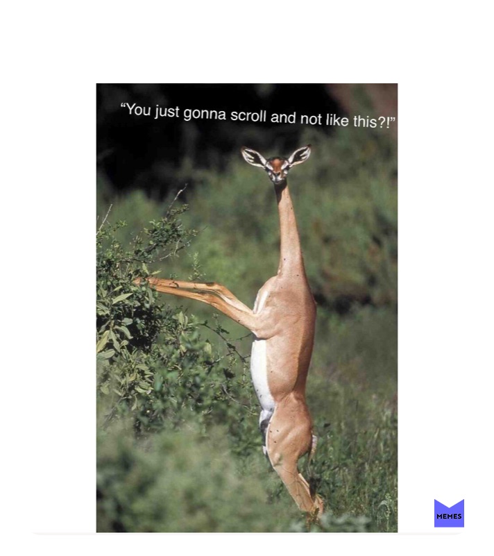 Meme by your_local_memer