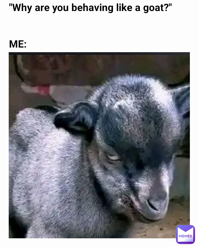 "Why are you behaving like a goat?"


ME: 