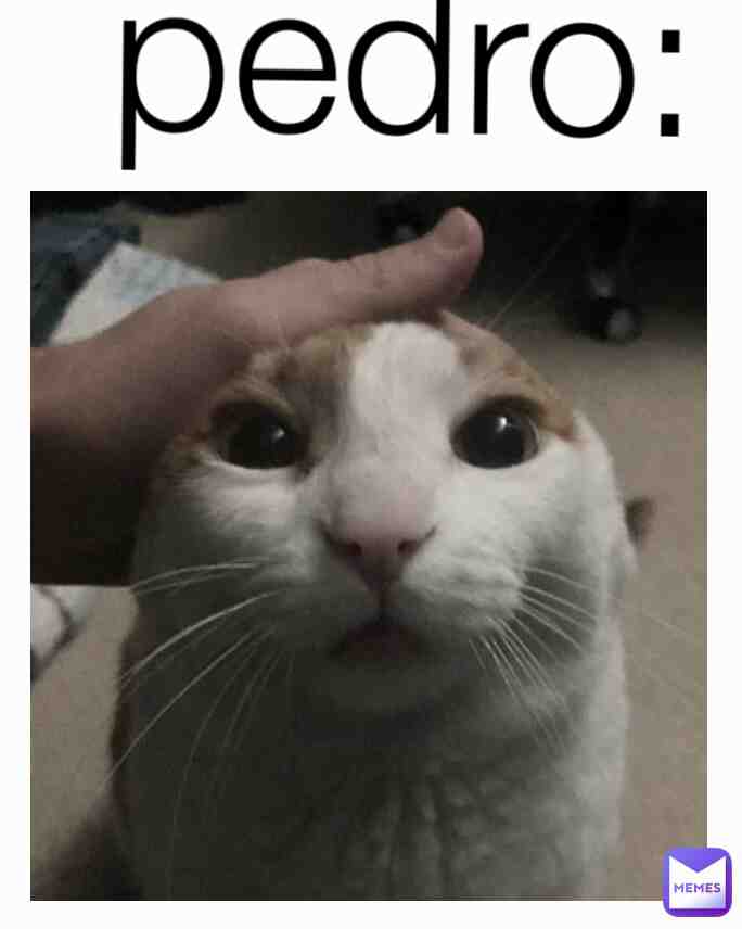 Pedro🗿