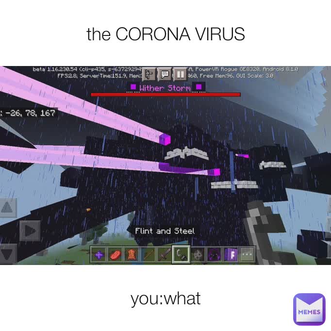 the CORONA VIRUS you:what