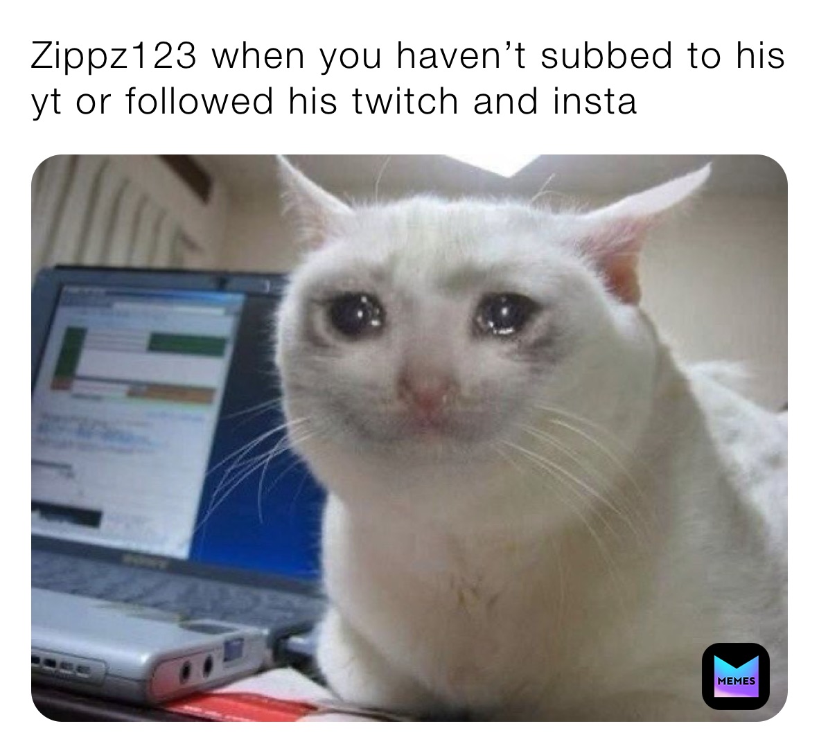 Zippz123 when you haven’t subbed to his yt or followed his twitch and insta 