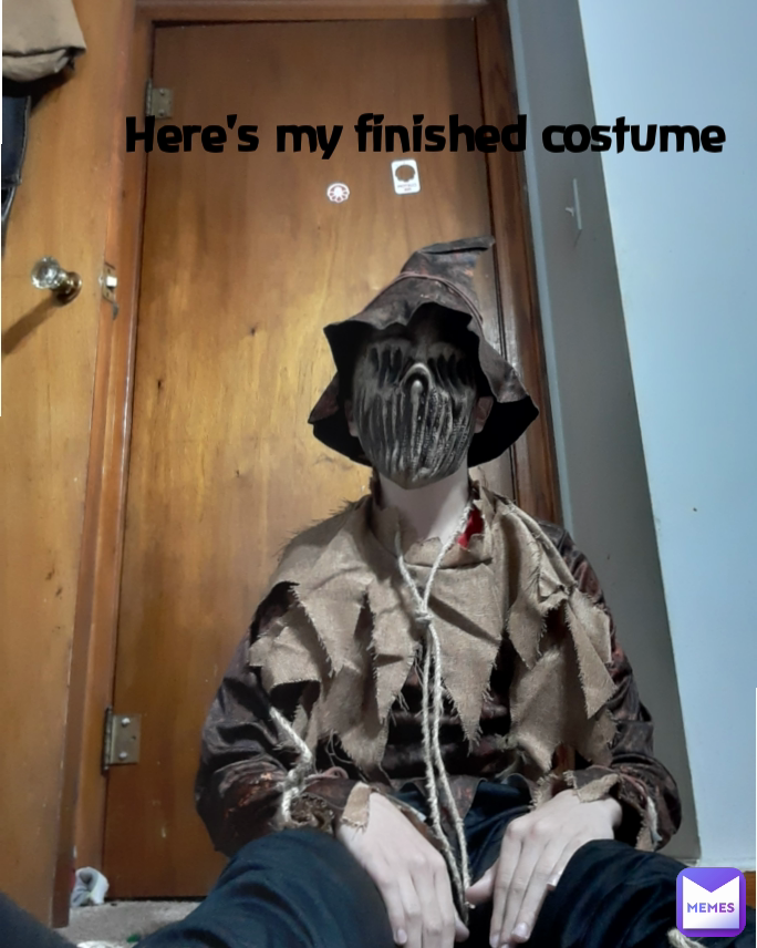 Here's my finished costume