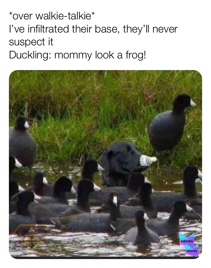 Meme by kellen_is_awsome