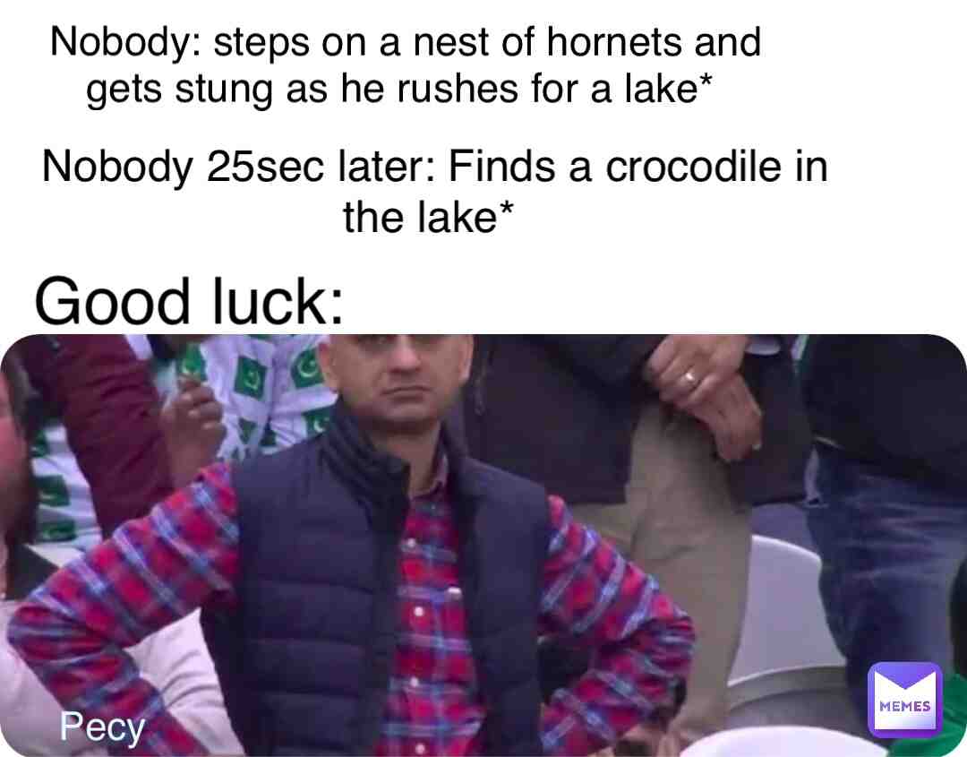 Meme shared by @pecy