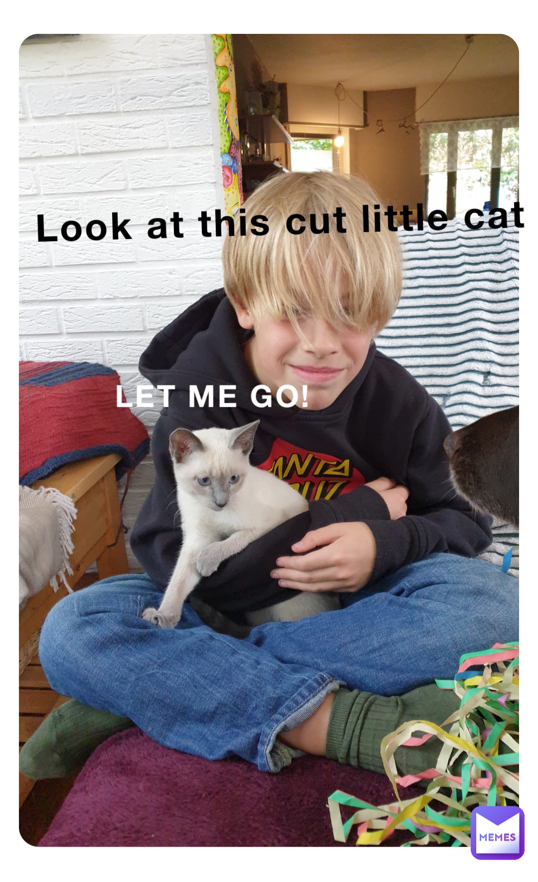 LET ME GO! Look at this cut little cat
