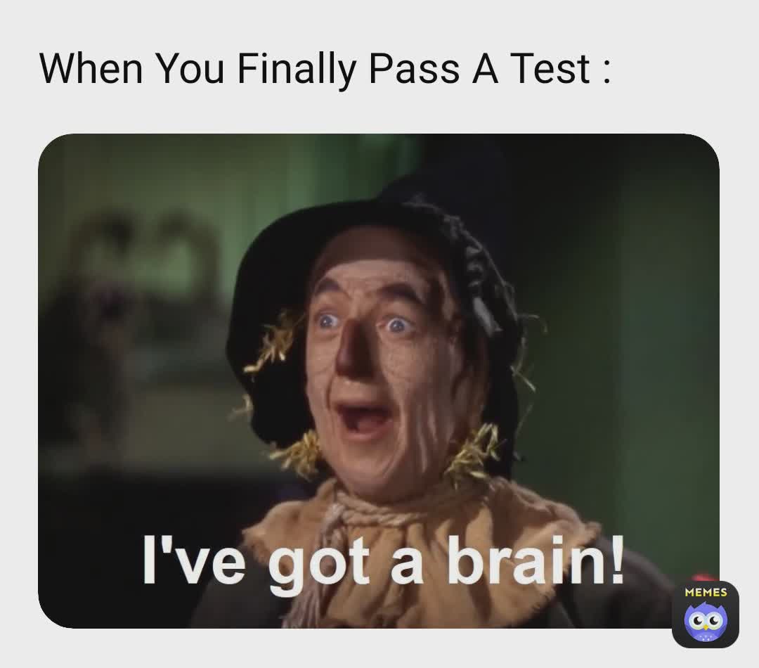 Meme by official.daily.memez