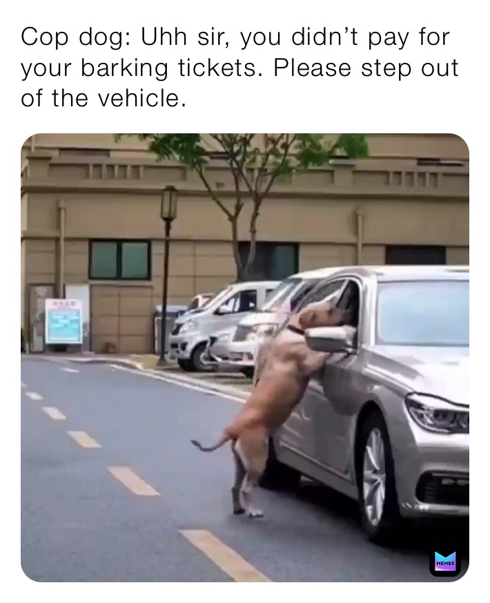 Cop dog: Uhh sir, you didn’t pay for your barking tickets. Please step out of the vehicle.