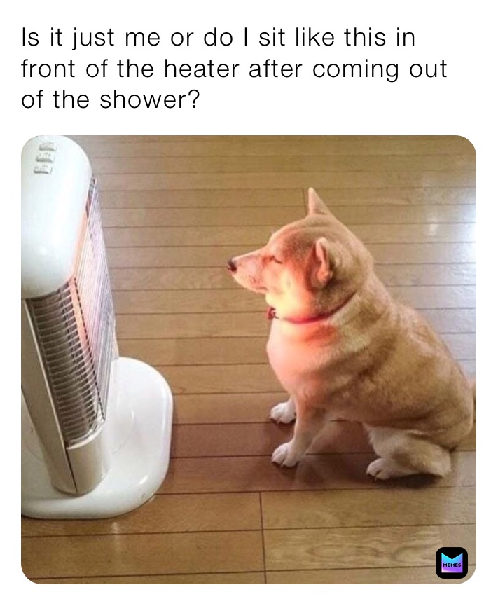Is it just me or do I sit like this in front of the heater after coming out of the shower?