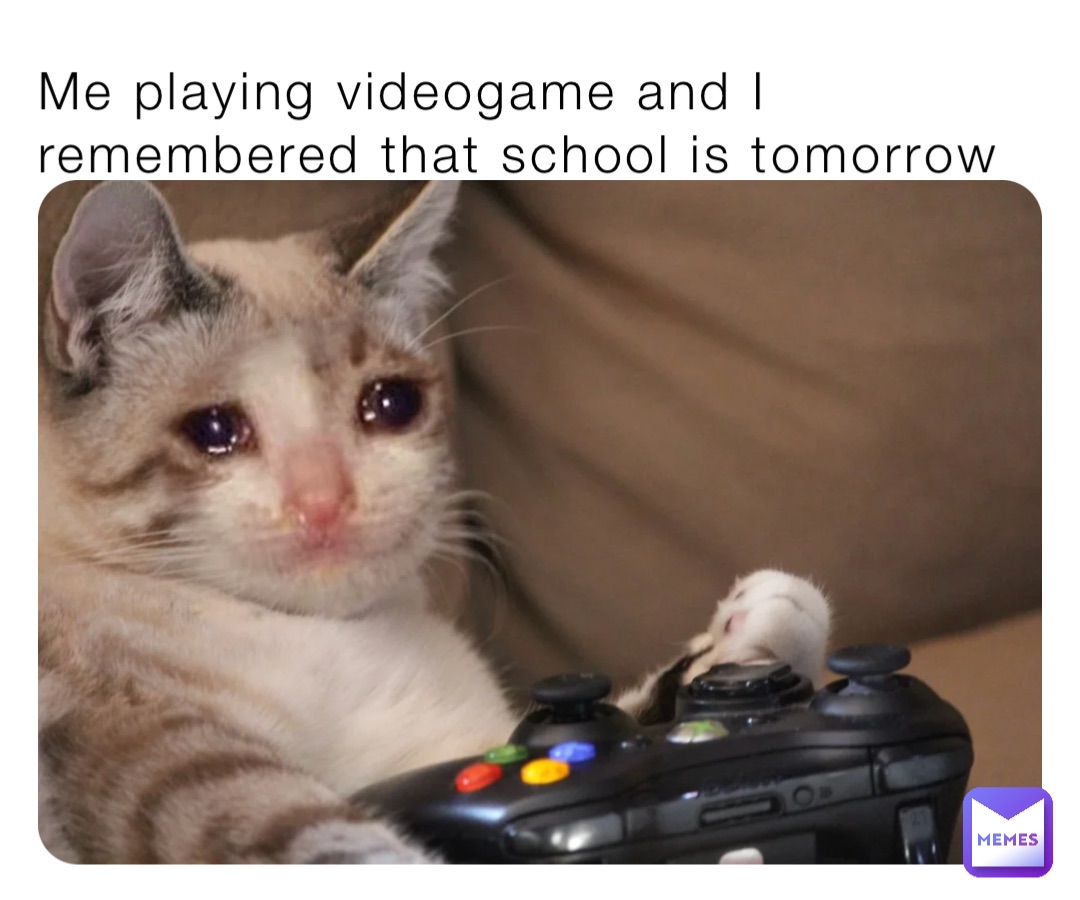 Me playing videogame and I remembered that school is tomorrow