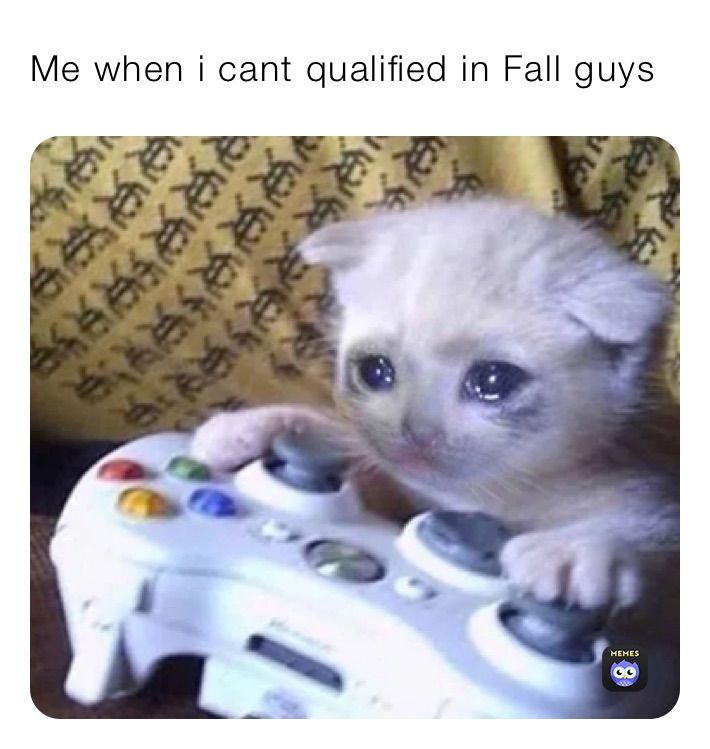 Me when i cant qualified in Fall guys