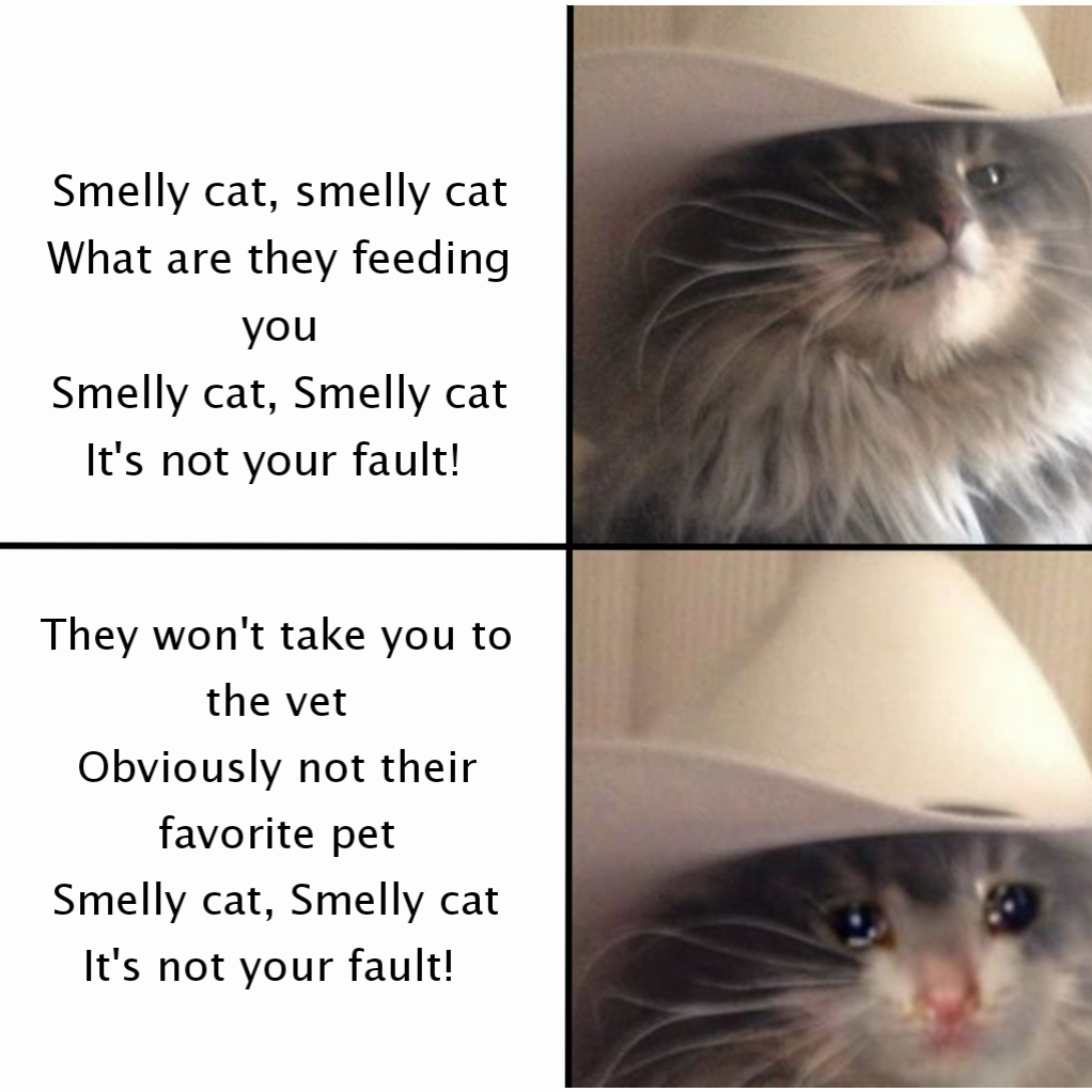 Smelly cat, smelly cat
What are they feeding you
Smelly cat, Smelly cat
It's not your fault!  They won't take you to the vet
Obviously not their favorite pet
Smelly cat, Smelly cat
It's not your fault! 