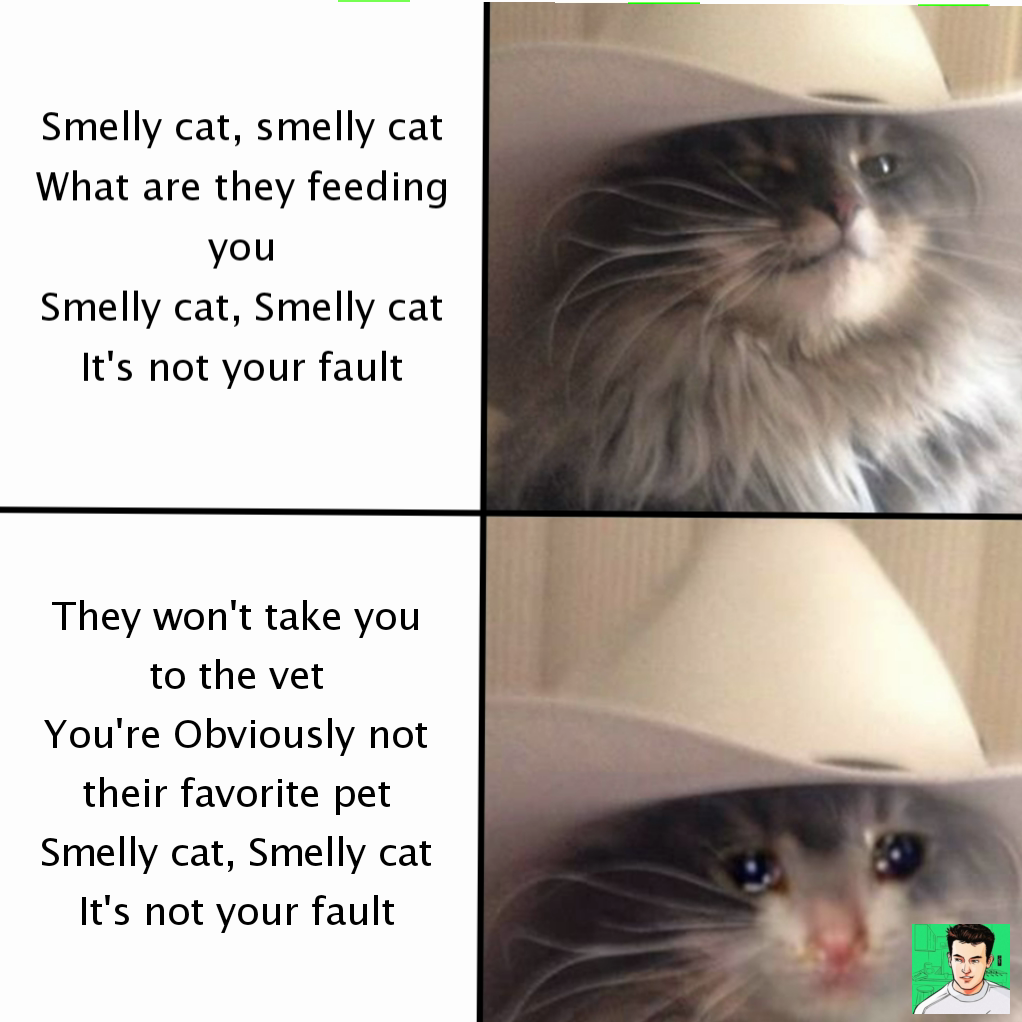 Smelly cat, smelly cat
What are they feeding you
Smelly cat, Smelly cat
It's not your fault They won't take you to the vet
You're Obviously not their favorite pet
Smelly cat, Smelly cat
It's not your fault