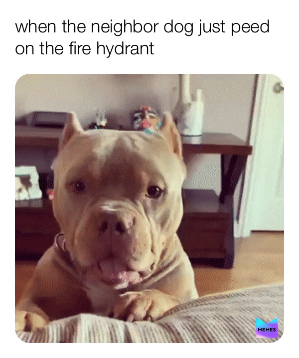 Meme by landon7153918