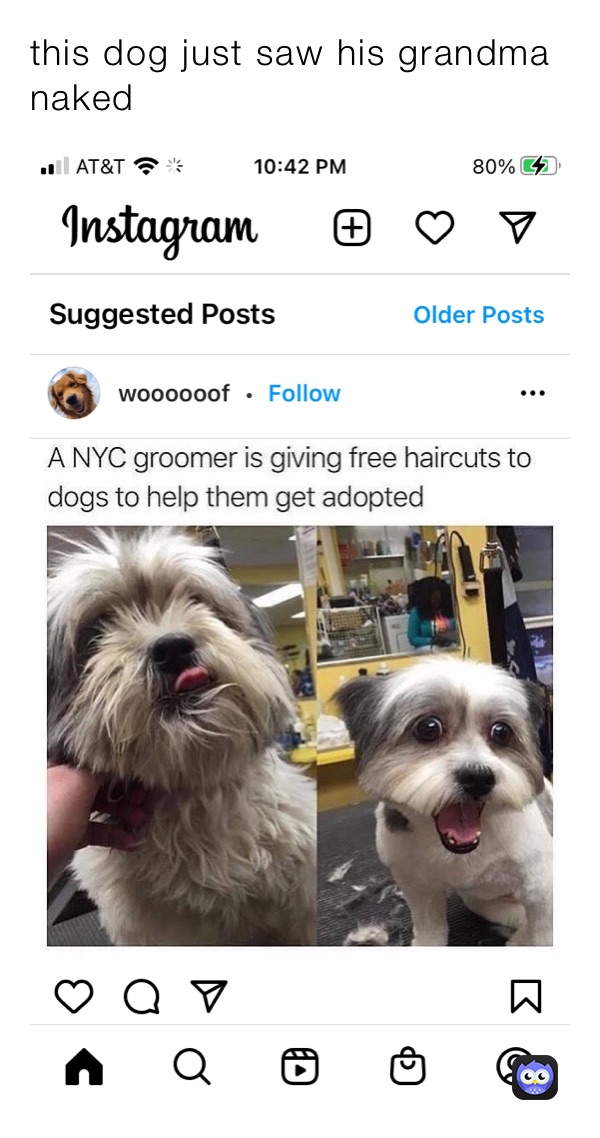 Meme by landon7153918