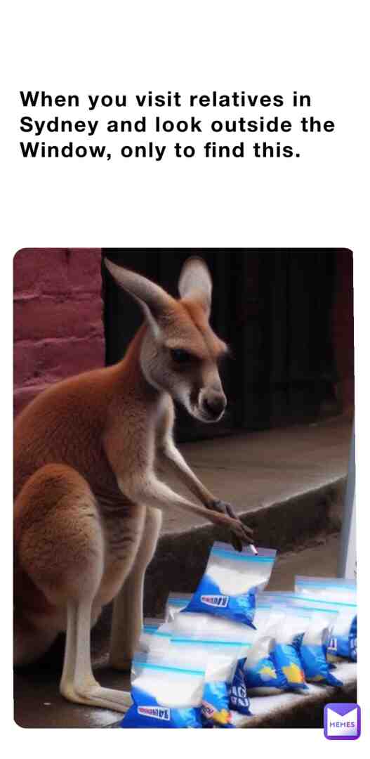 #insane #economy #aussie #sydney #internet #memes #animal #addiction