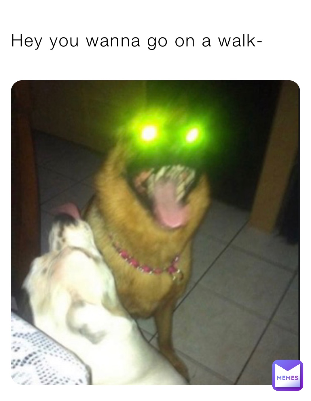Hey you wanna go on a walk-