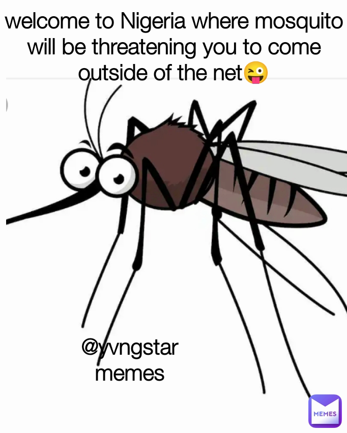 welcome to Nigeria where mosquito will be threatening you to come outside of the net😜 @yvngstar
memes