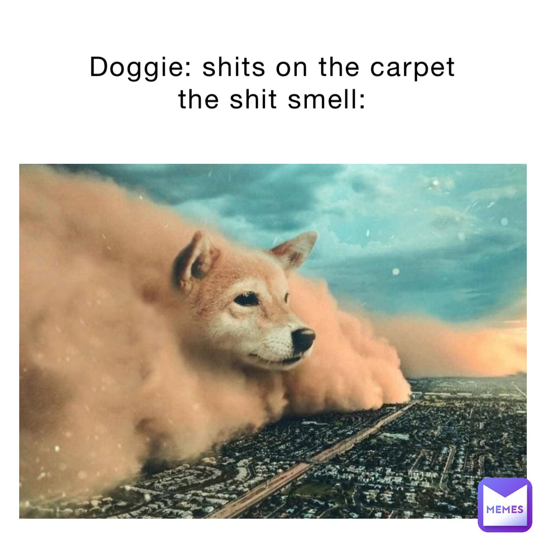 Doggie: shits on the carpet
The shit smell: