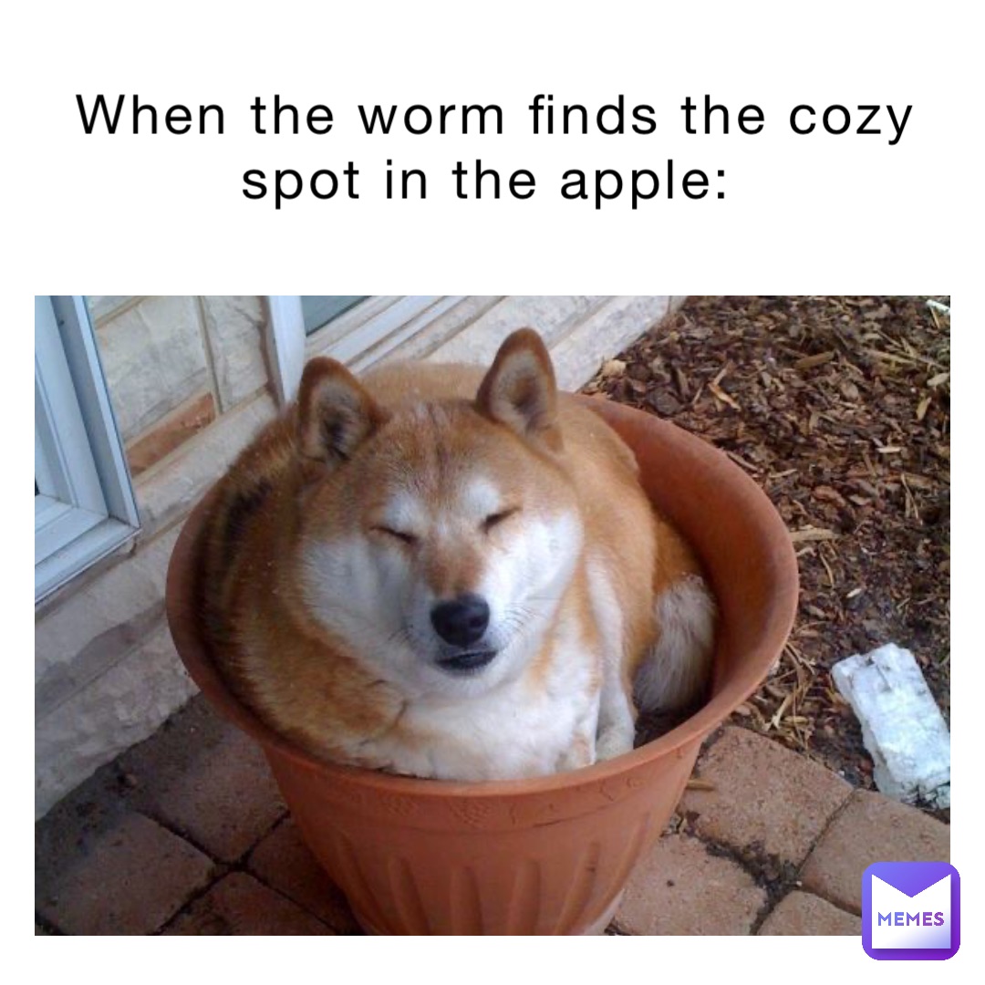 When the worm finds the cozy spot in the apple: