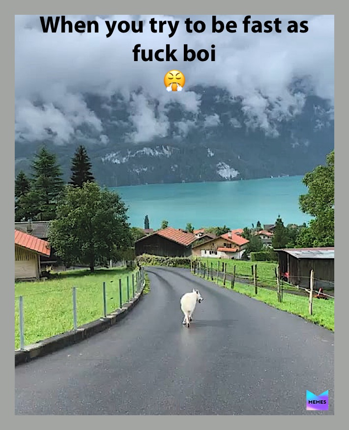 Meme by darkneess_fire