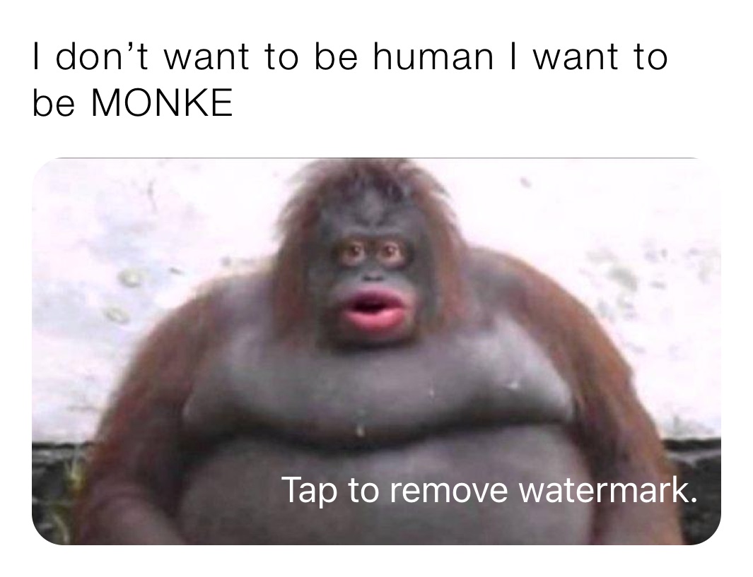 I don’t want to be human I want to be MONKE