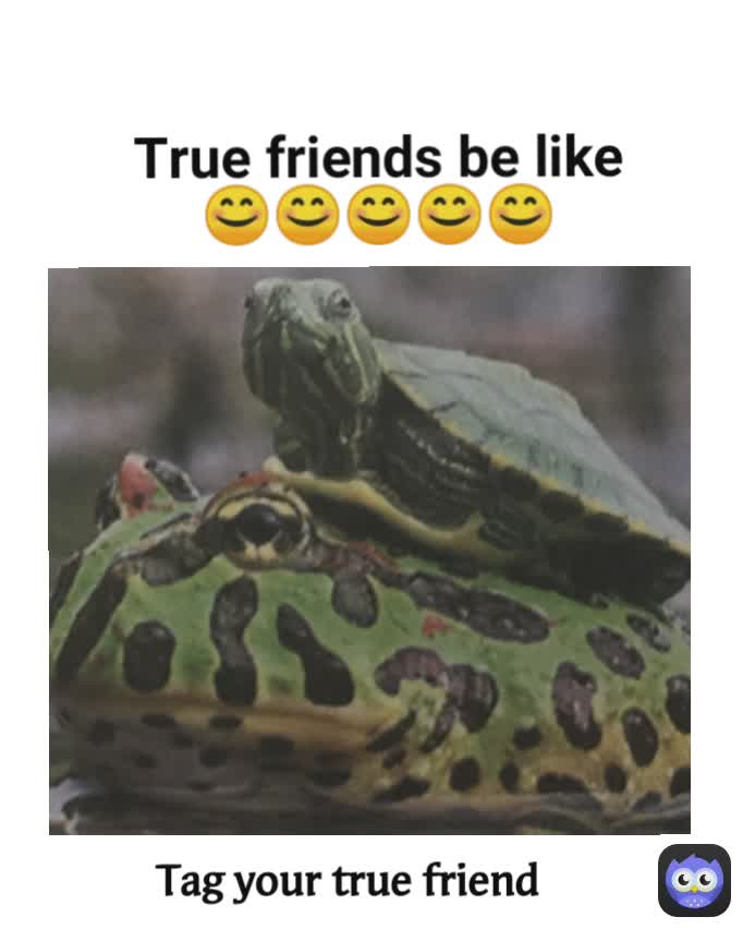 real friend meme