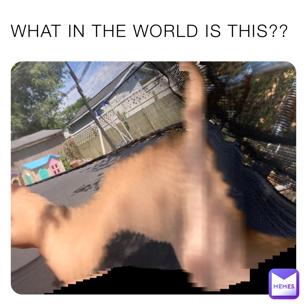 WHAT IN THE WORLD IS THIS??