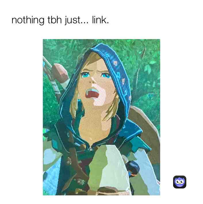 i just got botw and here’s this