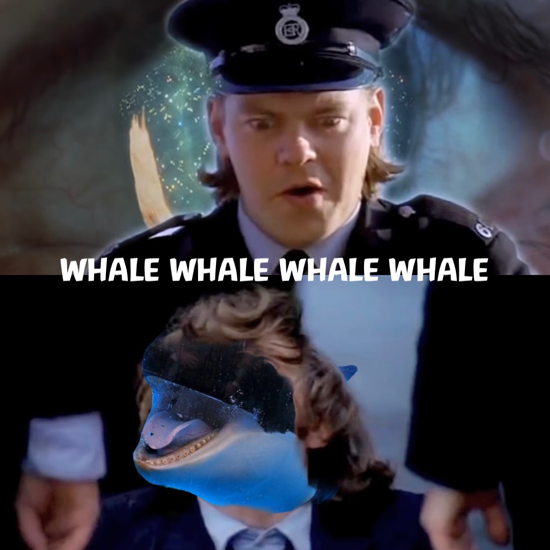 WHALE WHALE WHALE WHALE